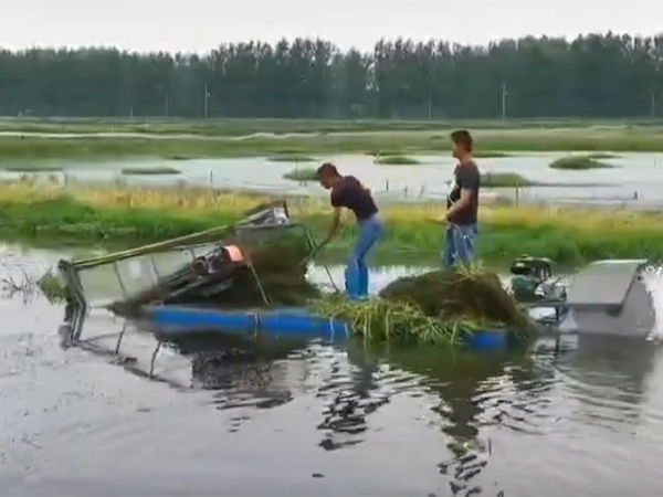 小型割草（cǎo）船